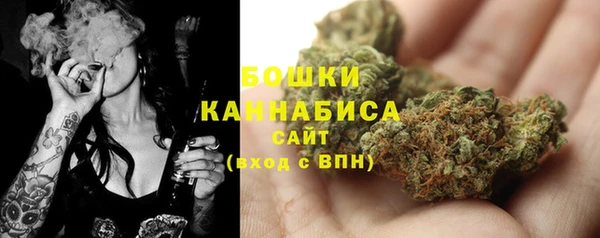 PSILOCYBIN Армянск