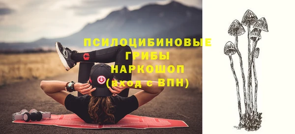 PSILOCYBIN Армянск